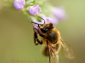 自动发货快的怎么去攻击一个网站与防护