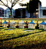 小黑ddos压力测试平台